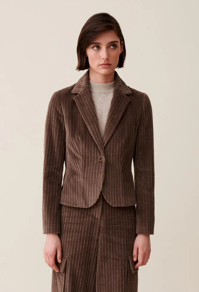 Claudie Pierlot Velvet Fitted Jacket Taupe Women Blazers Claudie Pierlot Velvet Fitted Jacket Taupe Women Blazers