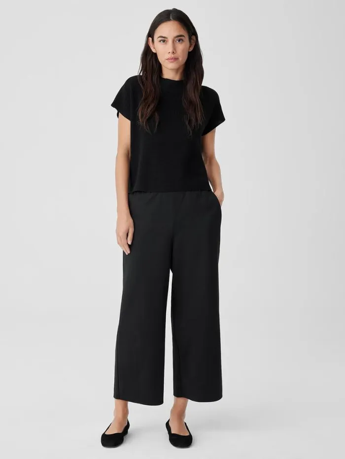 Eileen Fisher Pants Shorts and Jumpsuits Cotton Blend Ponte WideLeg Pant Black 8211 Shop Eileen Fisher Pants Shorts and Jumpsuits Cotton Blend Ponte WideLeg Pant Black 8211 Shop