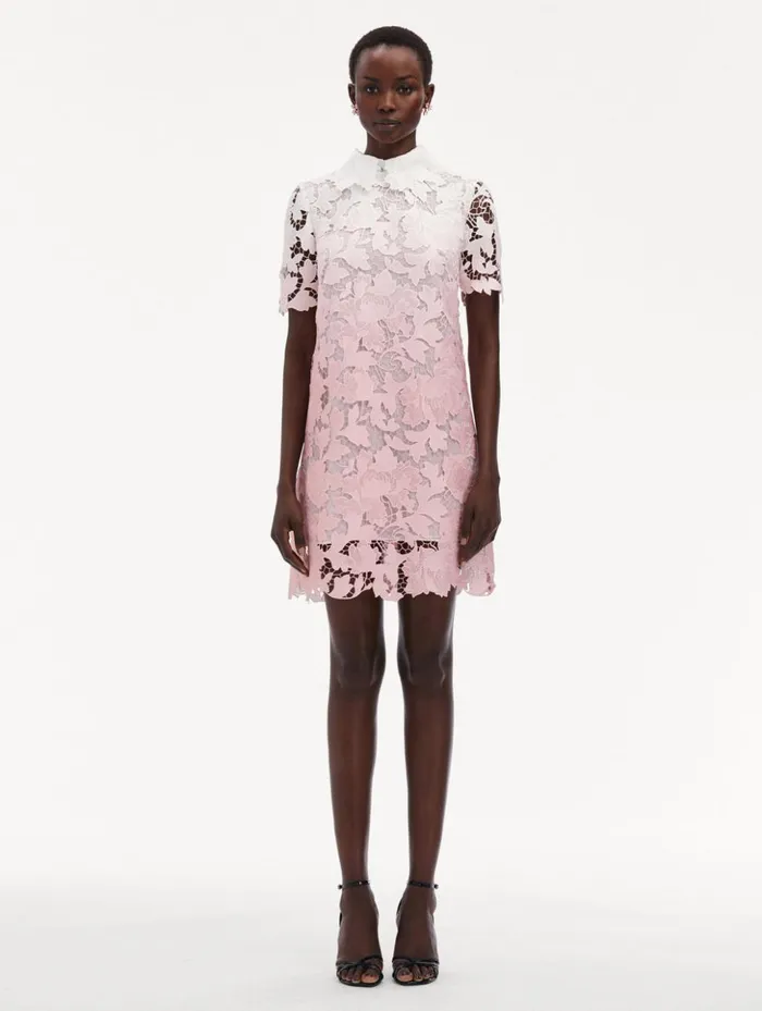 Women Dresses Oscar De La Renta Ombr Peony Guipure Shift Dress Soft Pink Women Dresses Oscar De La Renta Ombr Peony Guipure Shift Dress Soft Pink