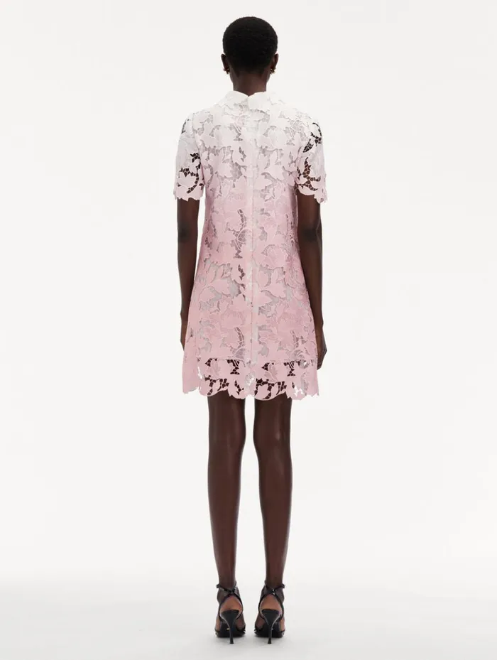 Women Dresses Oscar De La Renta Ombr Peony Guipure Shift Dress Soft Pink Women Dresses Oscar De La Renta Ombr Peony Guipure Shift Dress Soft Pink