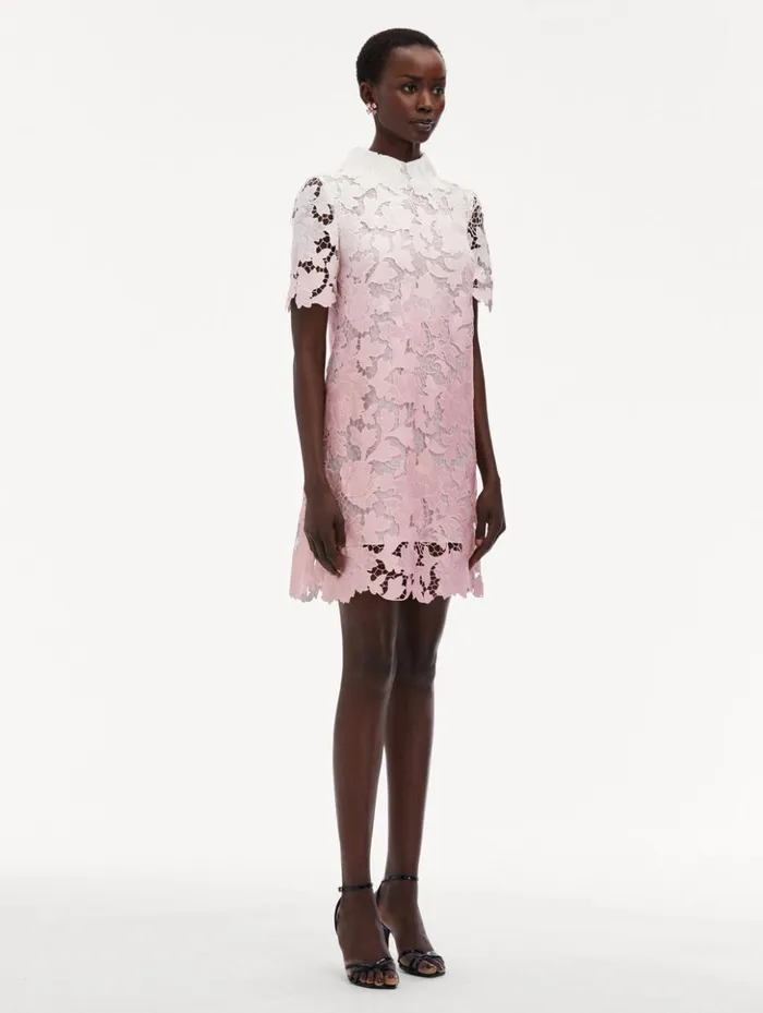 Women Dresses Oscar De La Renta Ombr Peony Guipure Shift Dress Soft Pink Women Dresses Oscar De La Renta Ombr Peony Guipure Shift Dress Soft Pink