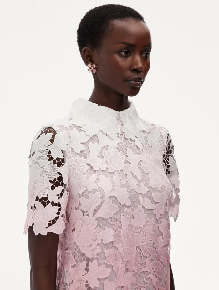 Women Dresses Oscar De La Renta Ombr Peony Guipure Shift Dress Soft Pink Women Dresses Oscar De La Renta Ombr Peony Guipure Shift Dress Soft Pink