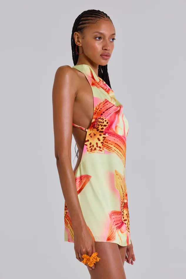 Women Jaded London Lucia Backless Mini Dress With Flower Detail Dresses